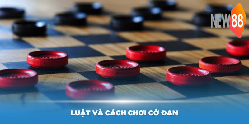 Nắm luật và cách chơi cờ đam dễ dàng