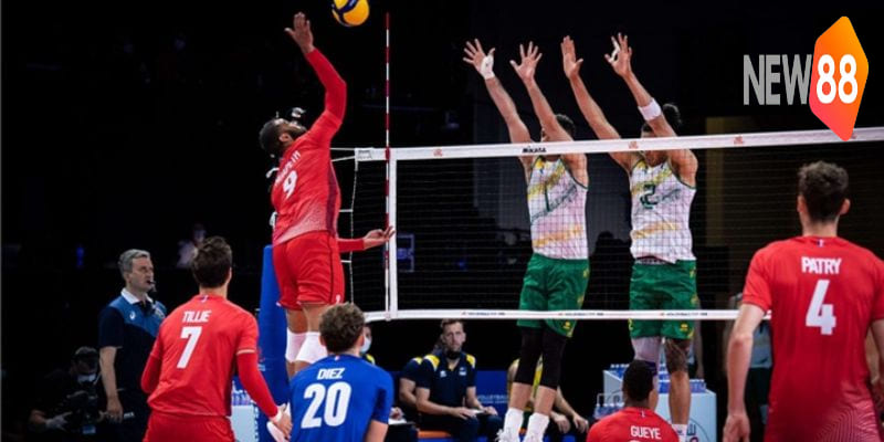 Tổng hợp cách cá cược bóng chuyền