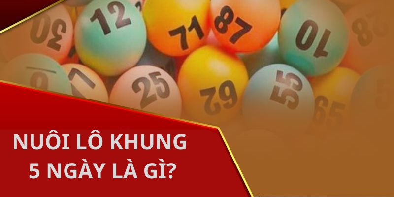 Như thế nào là nuôi lô khung 5 ngày?