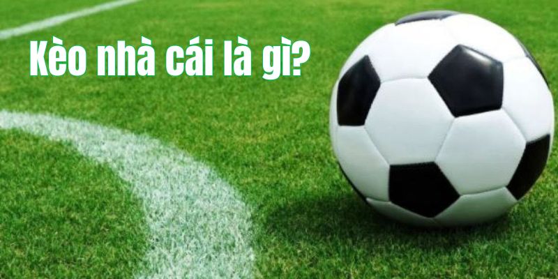 Cơ bản về kèo cược nhà cái New88