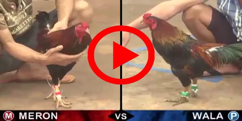 Tìm hiểu kỹ về các cửa cược để lựa chọn chuẩn xác